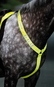 Equi-Flector Brösta