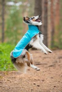 Pomppa Sportti Softshell-täcke Arctic