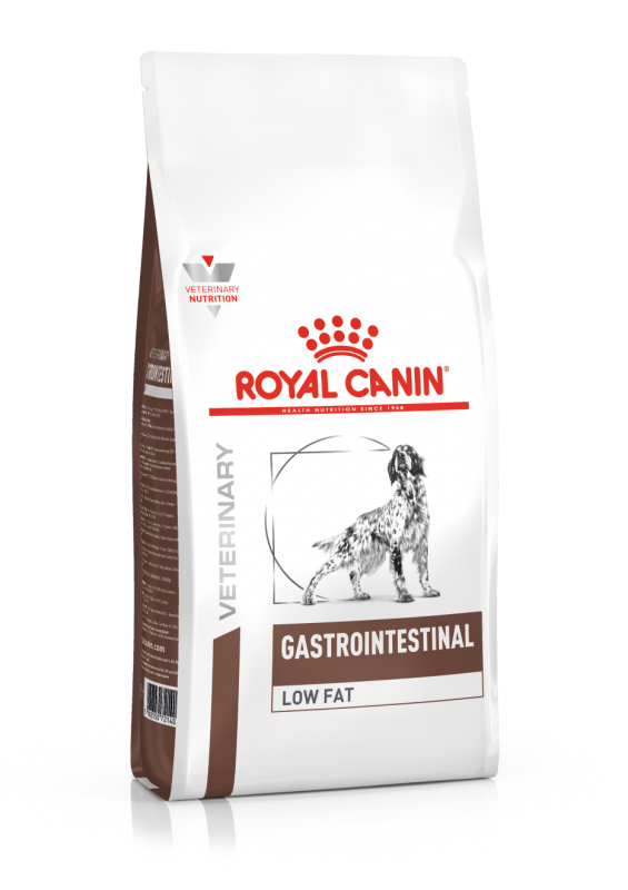 RCV Dog Gastro Intestinal Low Fat