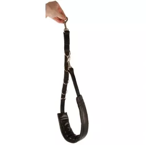 Show Tech Comfort Bellyband för stora hundar