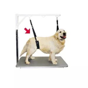 Show Tech Comfort Bellyband för stora hundar