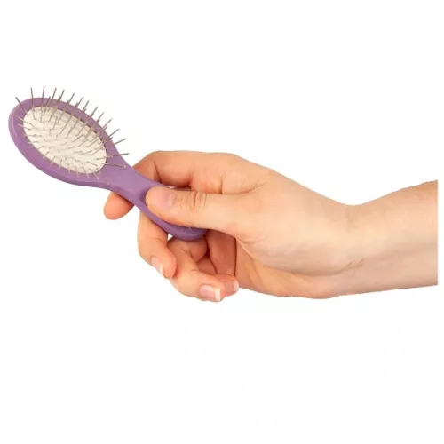 Show Tech Oval borste med stålpiggar - 12 cm