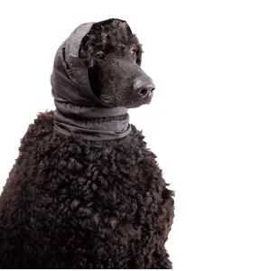 Show Tech Snood öronskydd