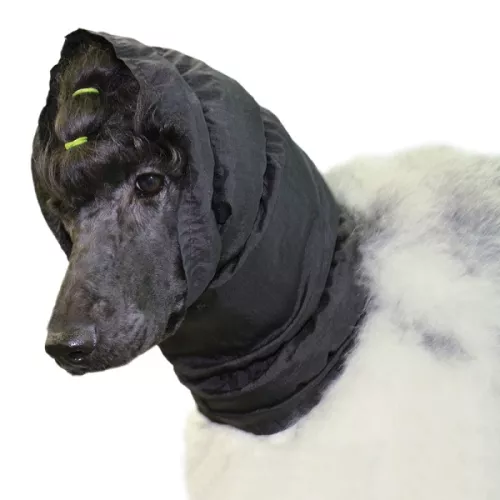 Show Tech Snood öronskydd