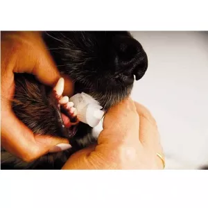 Show Tech Trio Tandborste