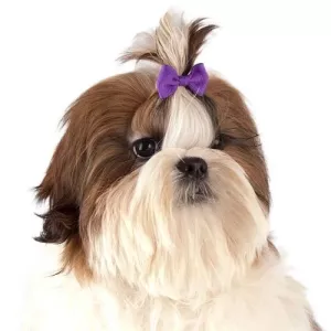 Show Tech Rosetter med latexsnodd