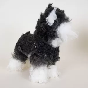 Starzclub Dvärgschnauzer Päls - kropp och huvud