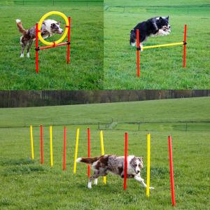 Agiltyset för hundträning, tre delar. 10 st slalompinnar, hoppring och hinder.