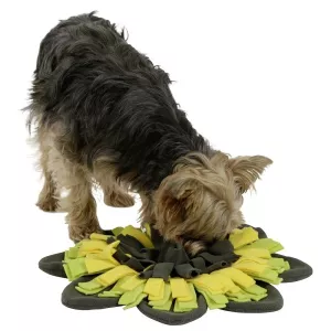 Aktiveringsmatta Blomma - 40 cm