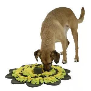 Aktiveringsmatta Blomma - 60 cm