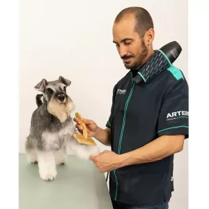 Artero Snake hundfön - handsfree