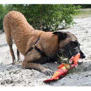 Hozies Billy Bengal orange 34 cm - flytande hundleksak av brandslang
