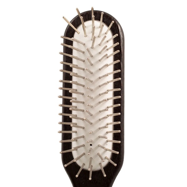 Chris Christensen Ovale Penborstel – 20 Mm – Roestvrijstalen Pinnen – Beukenhouten Lichaam – Voor Hondenverzorging