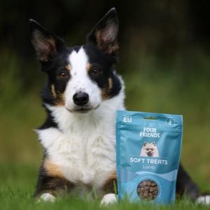 FourFriends Soft treats Lamb med lamm. Mjukt, lättdelat hundgodis med ursprung EU. 200 gram.