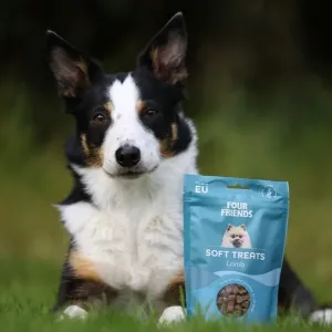FourFriends Soft treats Lamb med lamm. Mjukt, lättdelat hundgodis med ursprung EU. 200 gram.