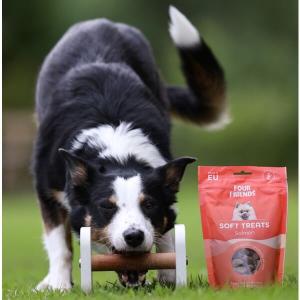 FourFriends Soft treats Salmon med lax. Mjukt, lättdelat hundgodis med ursprung EU. 200 gram.