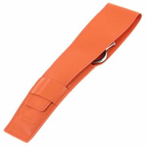 Groom Professional Artesan sax för hund och katt.