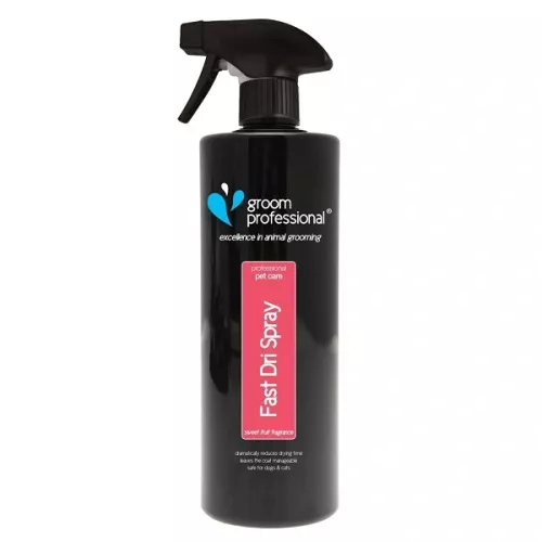 Groom Professional Fast Dri fönspray Classic - 1 liter