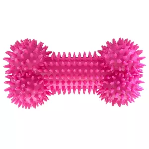 Gummiben med piggar rosa TPR - flytande hundleksak