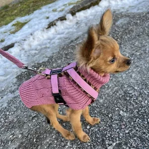 Gustaf & Evita stickad hundtröja - gammelrosa