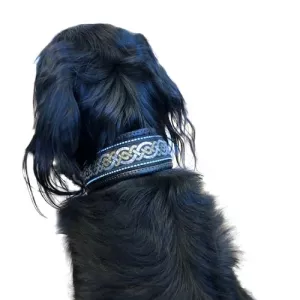 Hundhalsband halvstryp neopren - svart/guld/silver