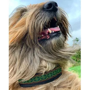 Hundhalsband Krumbukt, halvstryp - grön/koppar/brun