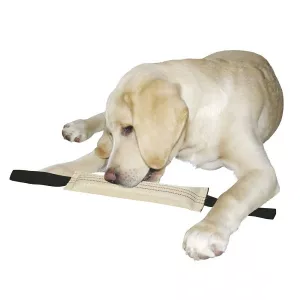 Dummy - flytande hundleksak