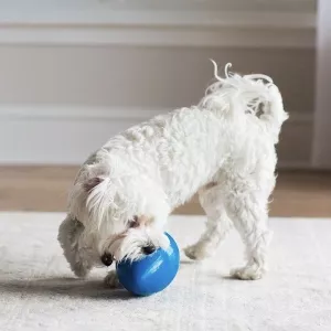 JW Mega Egg Blå Medium - hundleksak