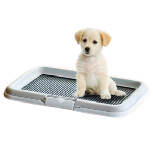 Valptoalett med plats för inlägg