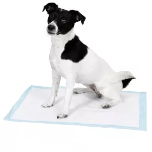 Underlägg valptoalett - kisskydd 60x40 cm
