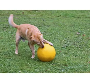 Hundleksak boll Jumbo