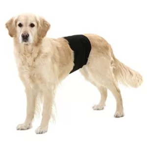 Skvättskydd hanhund - svart