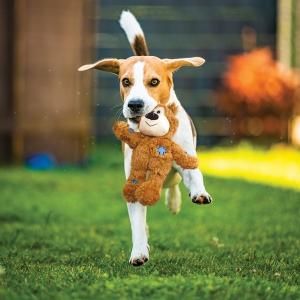 KONG Wild Knots Bear hundleksak med repskelett. Small/Medium. Ljusbrun.