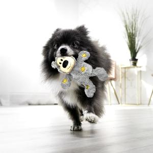 KONG Wild Knots Bear Small hundleksak med repskelett. Mysig och hållbar. Flera färger.