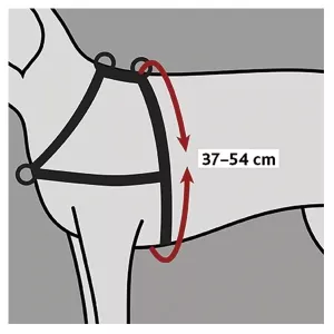 Hundsele Lead´n´Walk soft