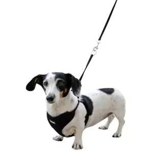 Mjuk valpsele med koppel - svart