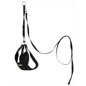 Mjuk valpsele med koppel - svart