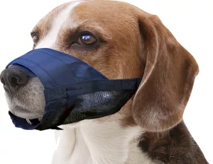 Munkorg Nylon - Ställbar