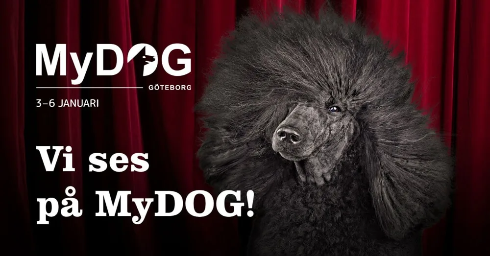 MyDOG Göteborg 3–6 januari – vi ses på MyDOG!