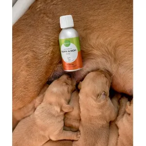 Nutrolin Puppy & Mom, kosttillskott för valpar och tikar. Finns i flera storlekar.