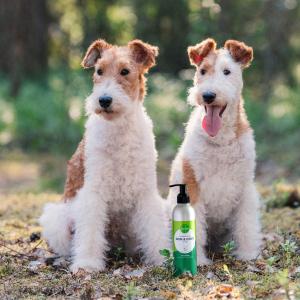 Nutrolin Skin & Coat kosttillskott för hundars hud och päls. Finns i flera storlekar.