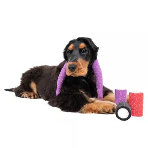 Show Tech Elastiskt självhäftande bandage - lila med glitter