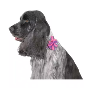 Show Tech Flower Power halsrosetter - 10-pack