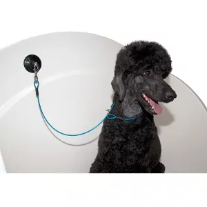 Groom-X koppel med sugpropp, låsbar ögla