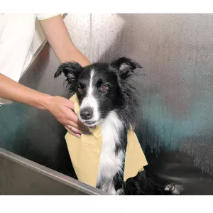 Show Tech Magic Towel - Superabsorberande handduk