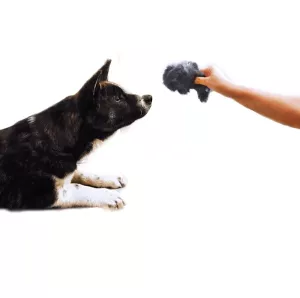 Show Tech Hundleksak Pälsmus med pipljud