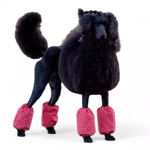 Show Tech Pom Covers Polka dots - benskydd för pudel