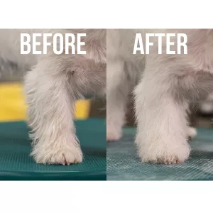 Show Tech+ Quick Clean - 200 ml