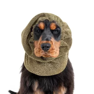 Show Tech Snood Luxe Royal, öronskydd för hundar med hängande öron. Guld.
