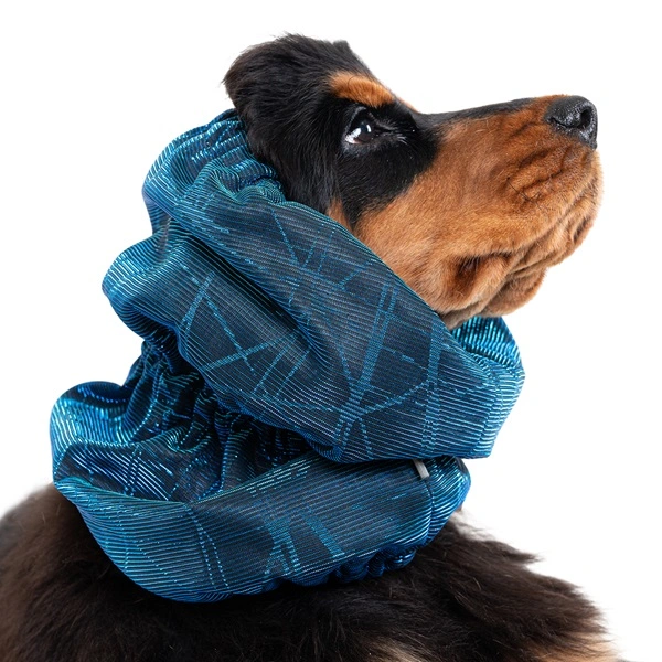 Show Tech Snood Luxe Galaxy, öronskydd för hundar med hängande öron. Blå.